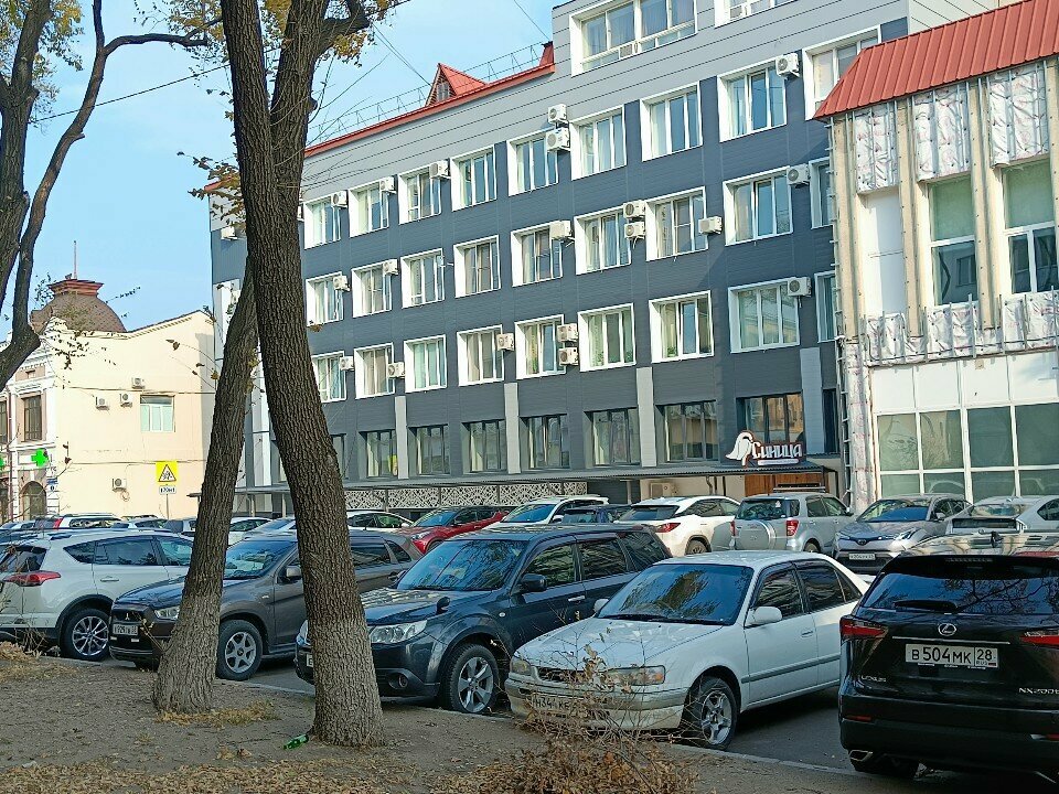 Printing services Платина, Blagoveshchensk, photo