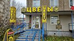 Цветы Рядом (ulitsa Marshala Rybalko, 45), flower shop