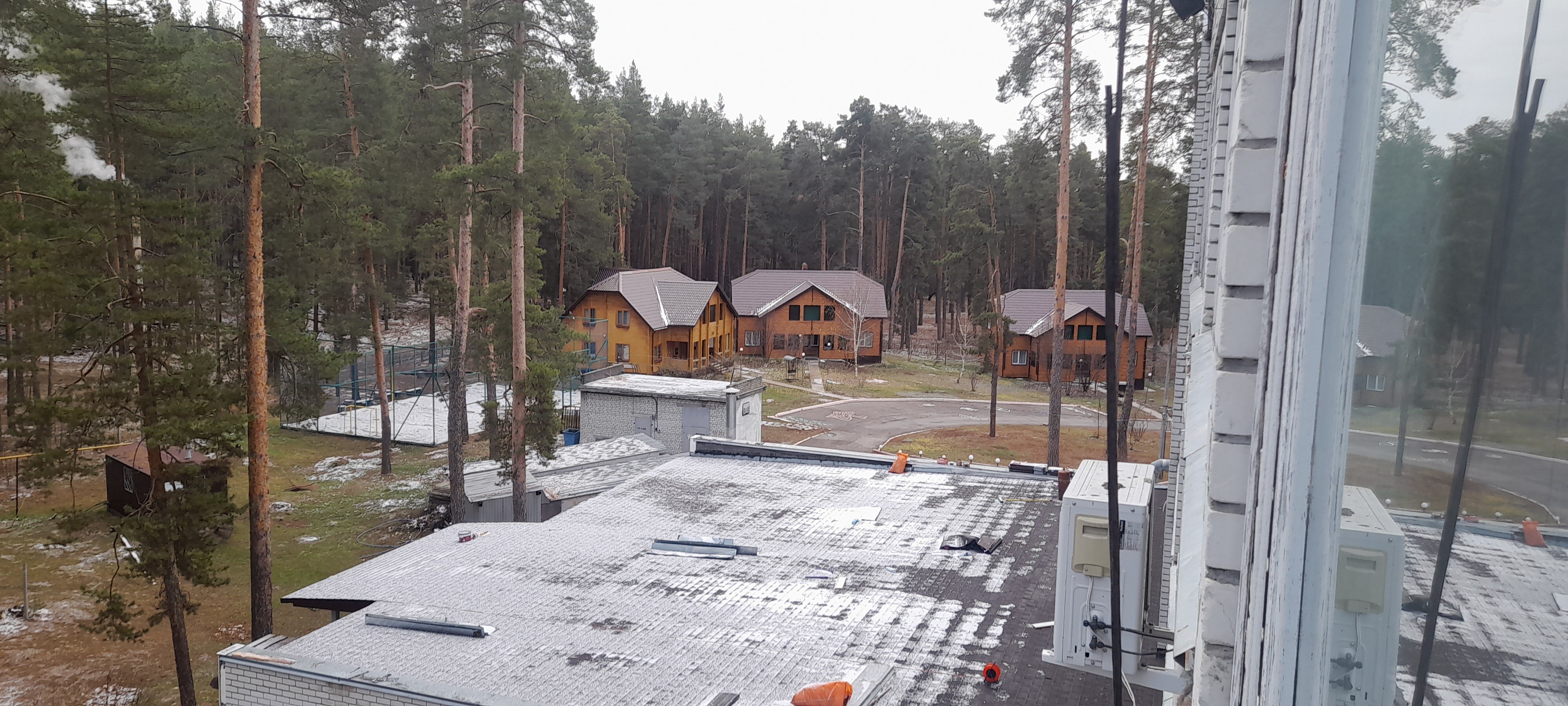 Фото Сосновый бор