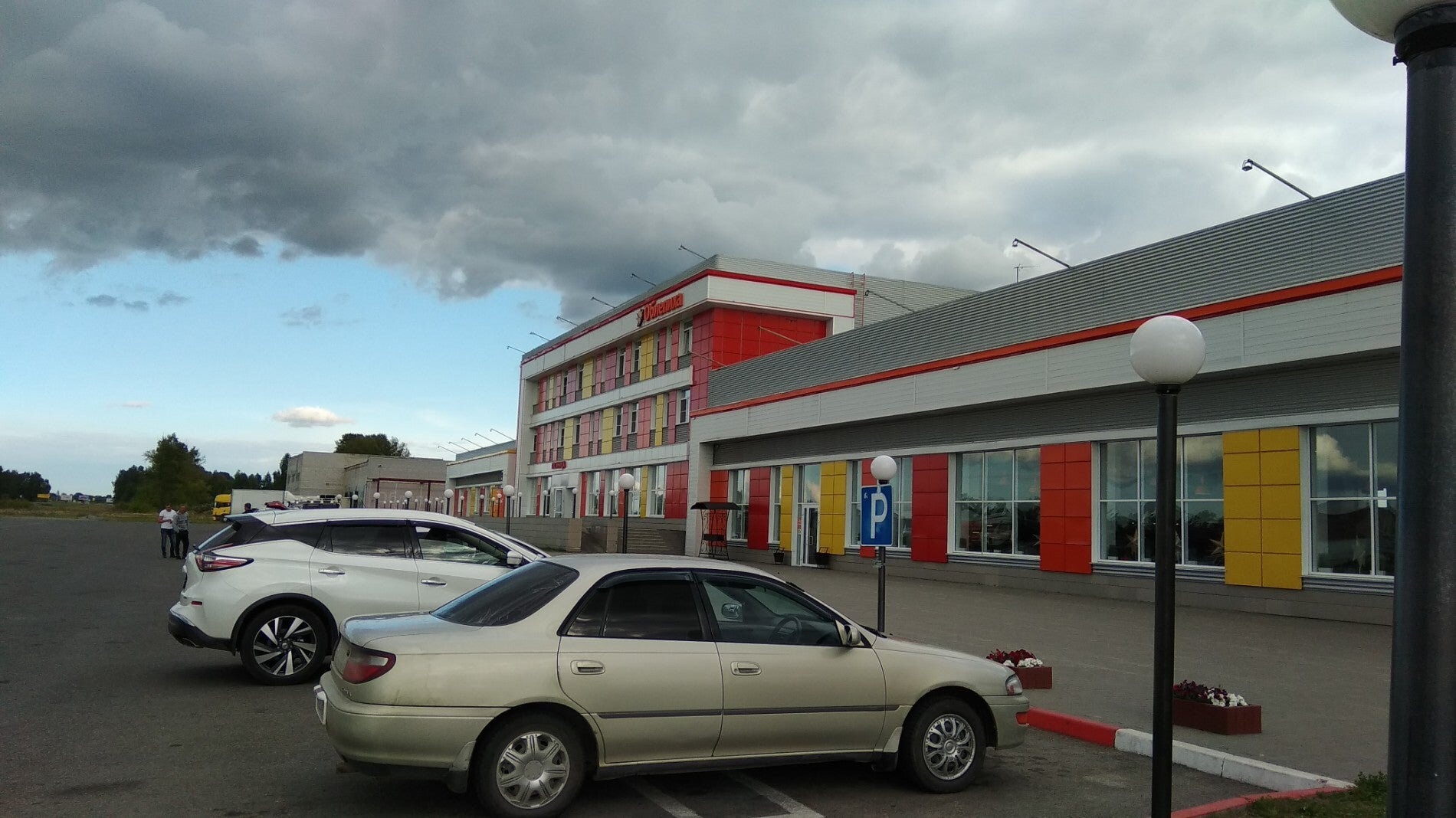 Фото Облепиха