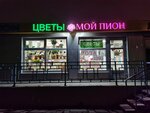 Moy Pion (Yubileynaya Street, 32В) ، محل زهور