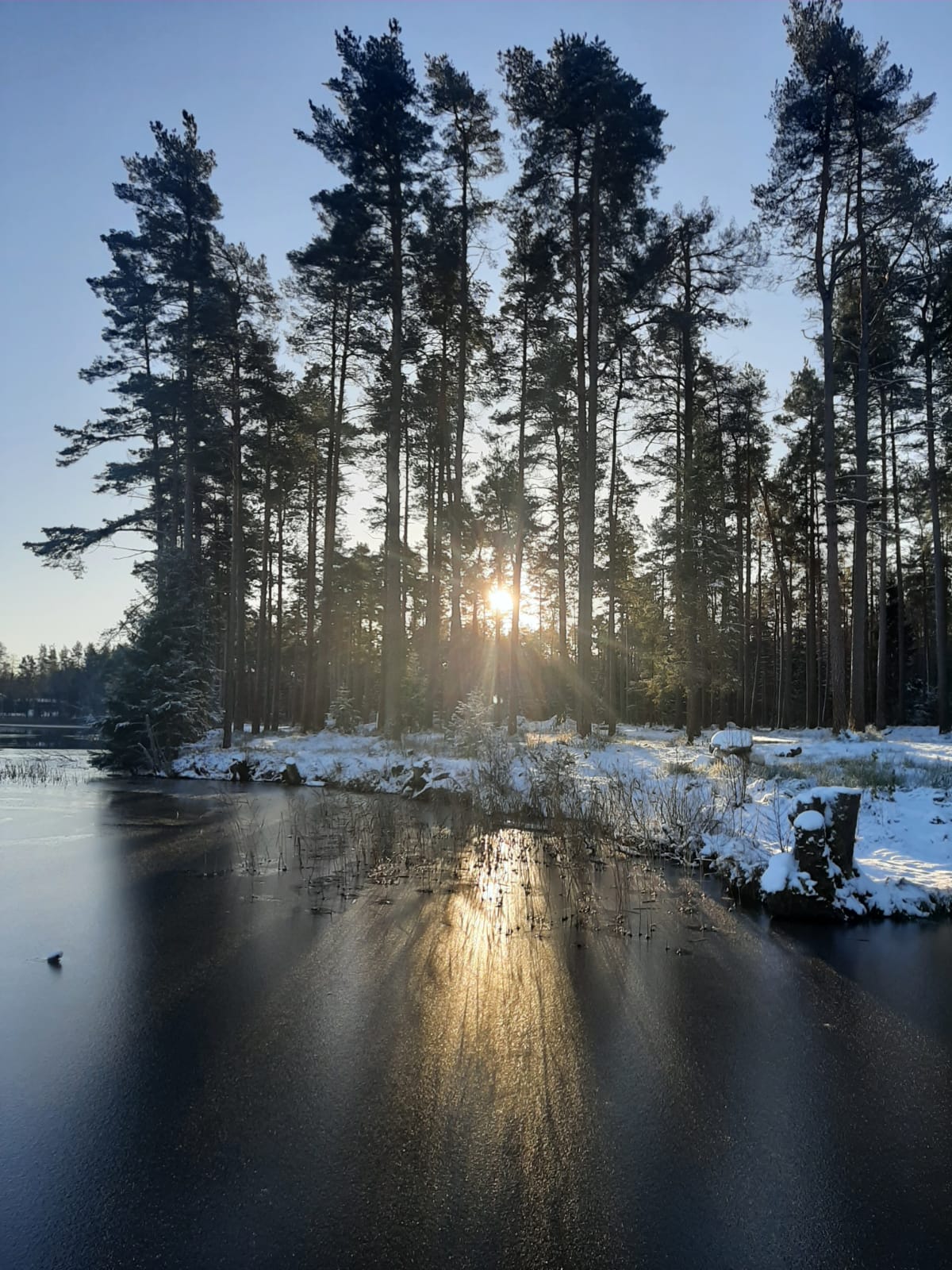 Фото Ольшаники