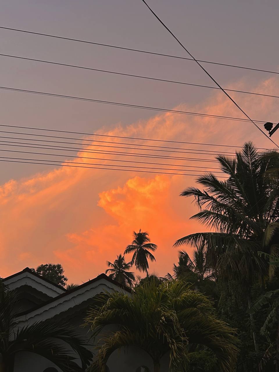Фото Eva Lanka Hotel