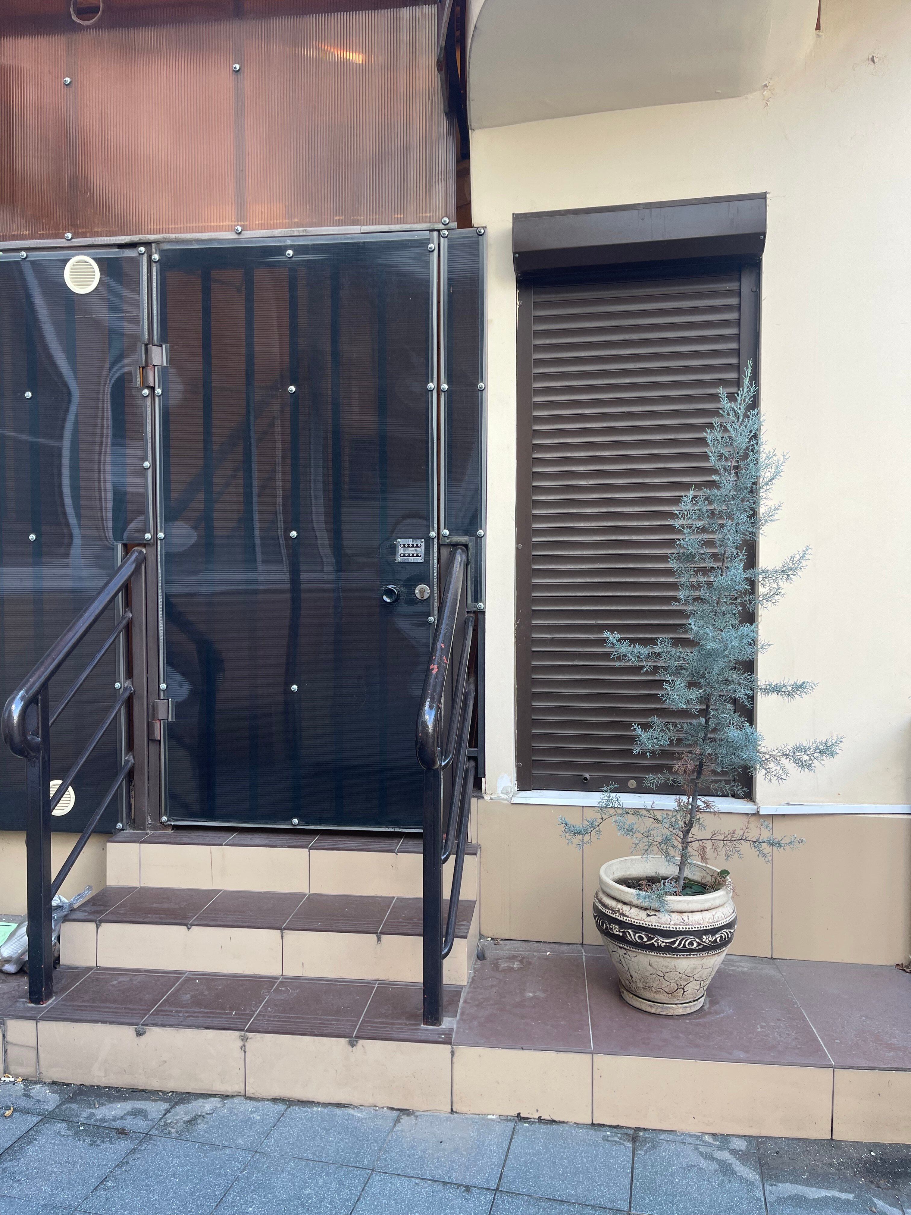 Фото Ракушка