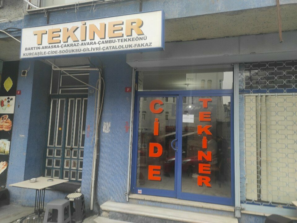 Travel agency Tekiner Bus Management, Istanbul, photo