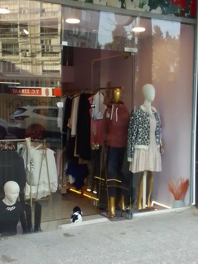 Clothing store Vio Boutique, Izmir, photo