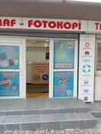 Berlin Translation (İstanbul, Beyoğlu, Ömer Avni Mah., Hacı Hanım Sok., 1), translation agency