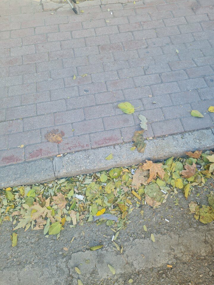 Hairdresser Kuafor Alisan, Konya, photo