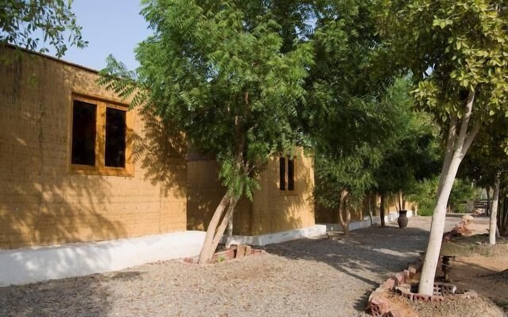 Фото Umbi Sharks Bay Diving Village