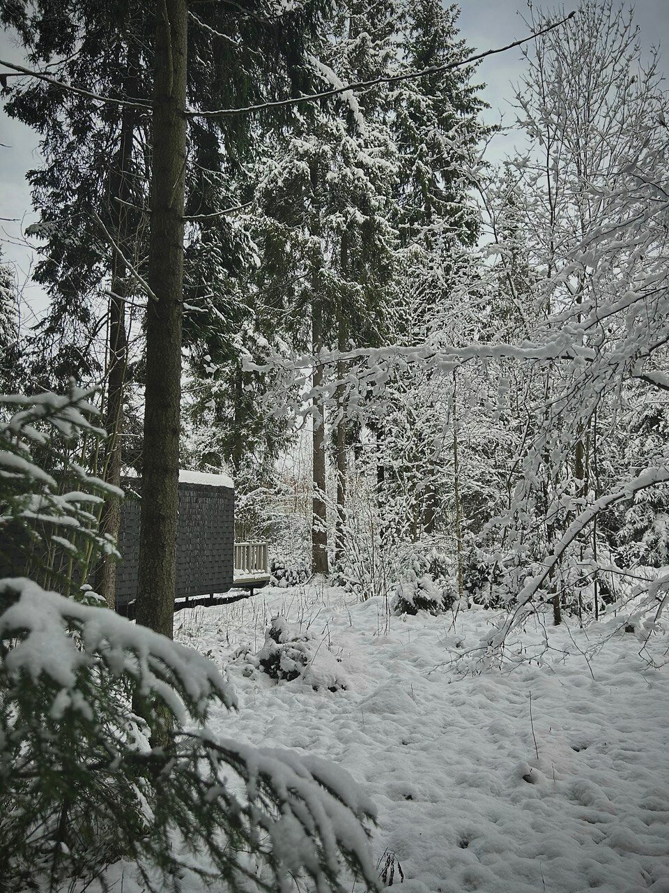 Фото Нешалаши