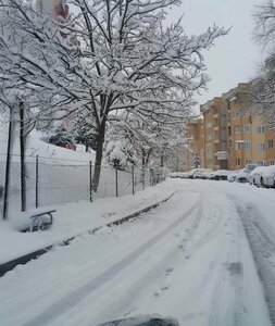 Magnolia Park (Kocaeli, İzmit, Ayazma Mah., Kuvay-i Milliye Cad., 4), park