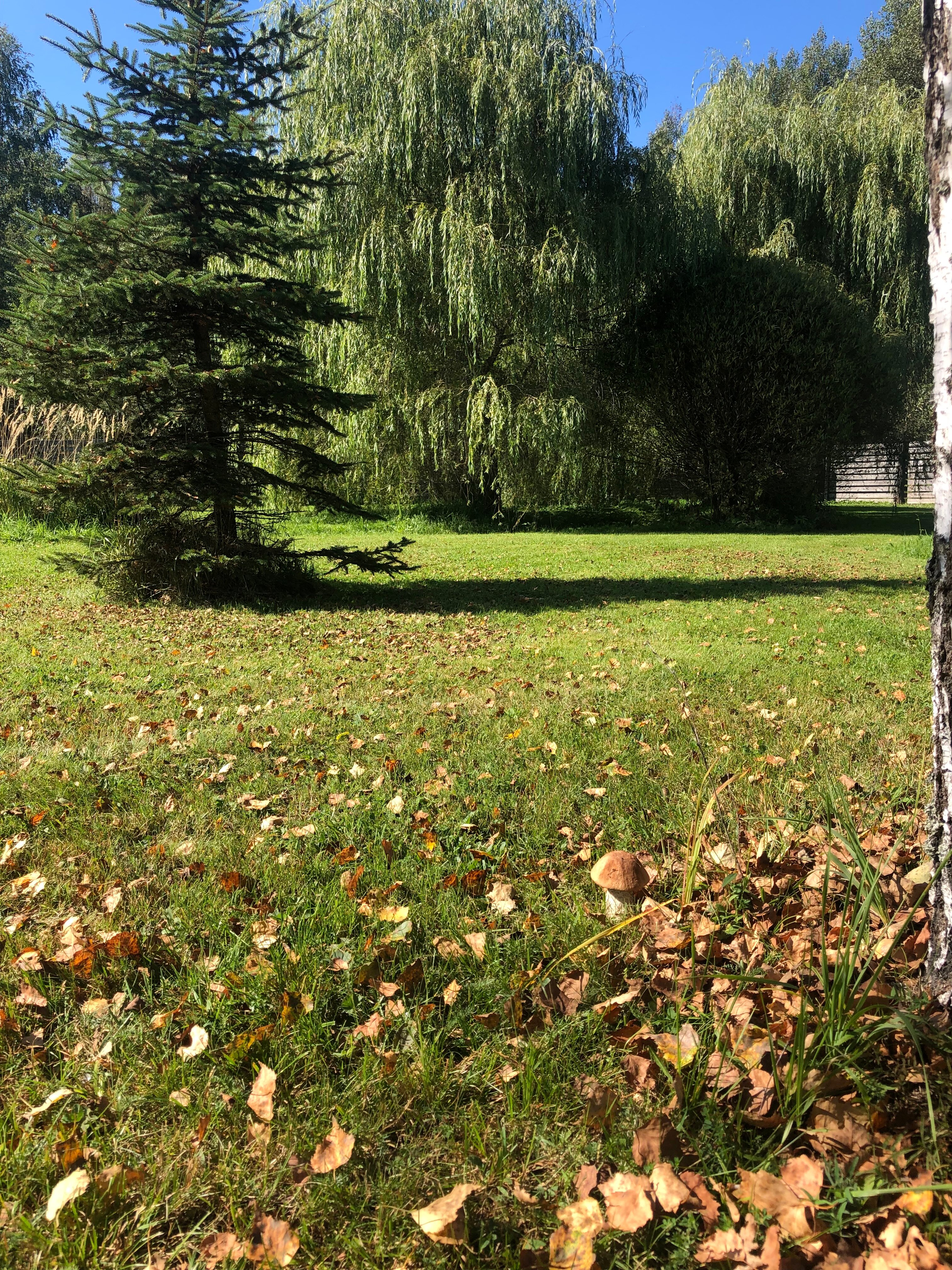 Фото Поместье