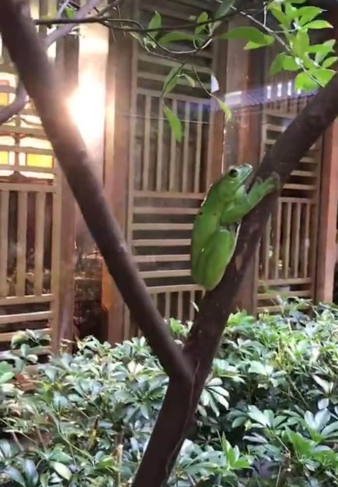 Фото Prdeiction Hotel