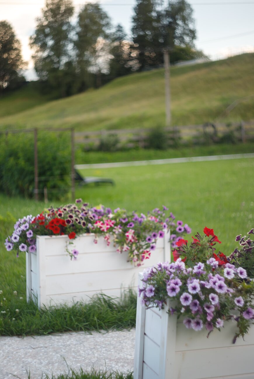 Фото Романовское Подворье