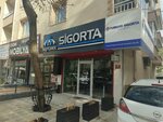 Tasyurek Insurance (Ankara Province, Çankaya, Sokullu Mehmet Paşa Cad., 81), insurance company