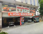 Lion Garage (Samsun, İlkadım, Şehit Polis Mehmet Erol Sok., 5), car wash