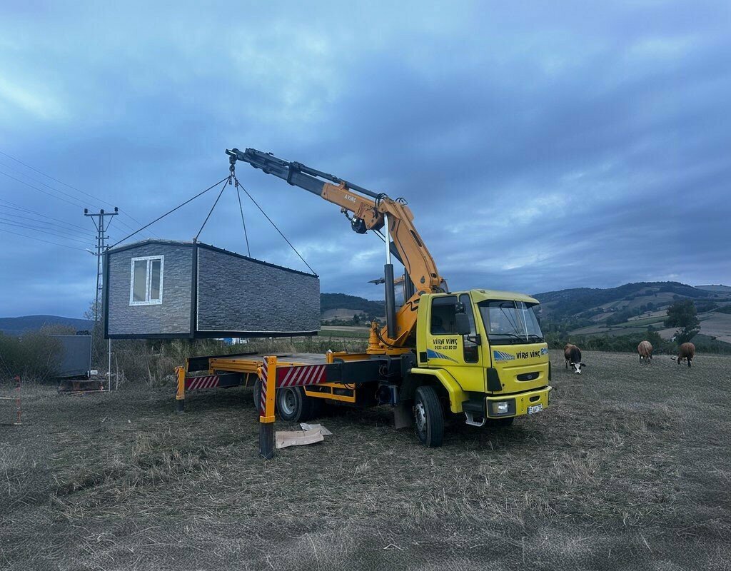 Rental of construction and special equipment Vira Crane Samsun, Samsun, photo