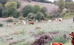 Oner Emlak (Çanakkale, Biga District, Turan Neighbourhood, Mustafa Aksekili Sok., 41) ، وكالة عقارية