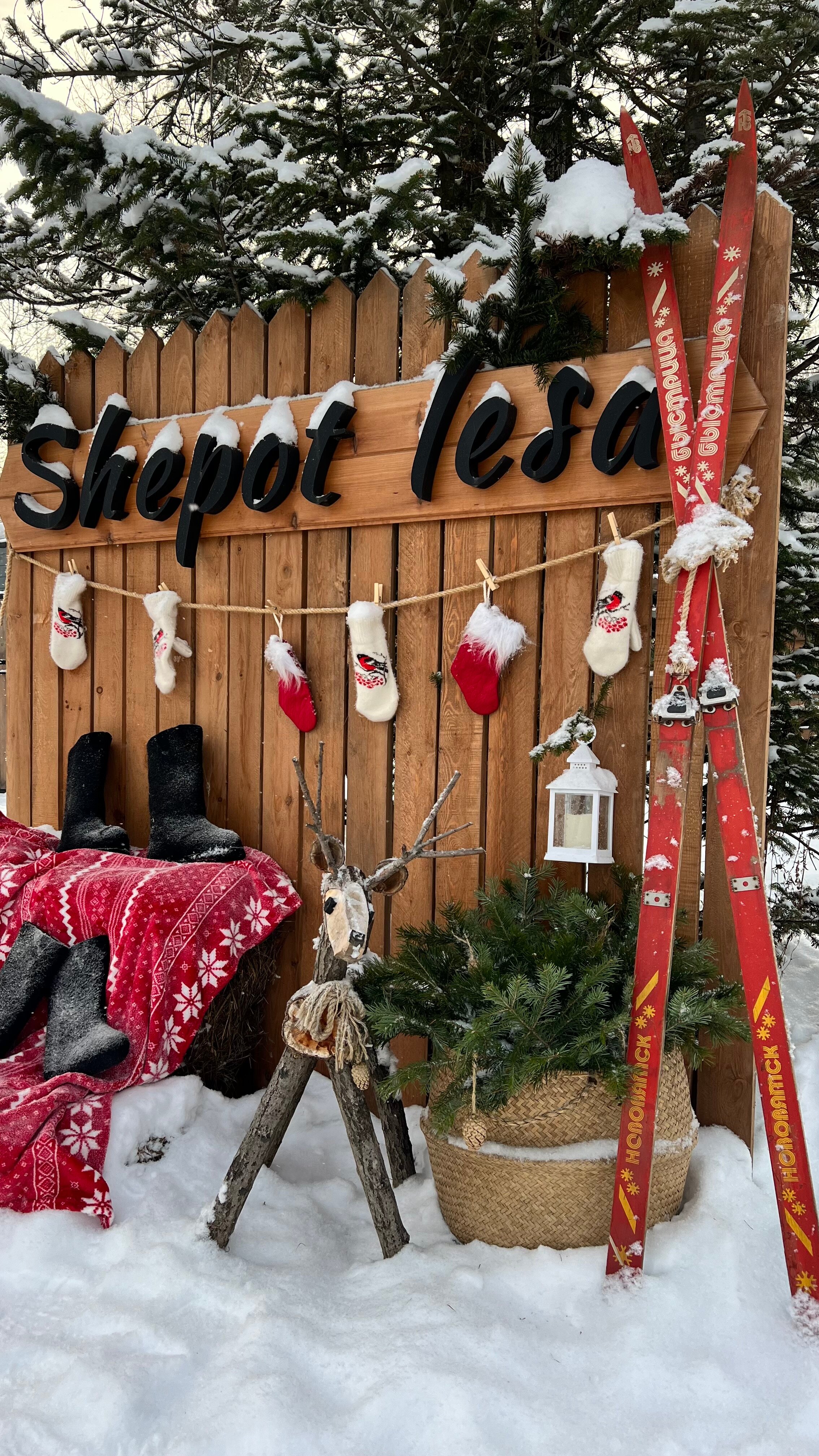 Фото Шёпот леса