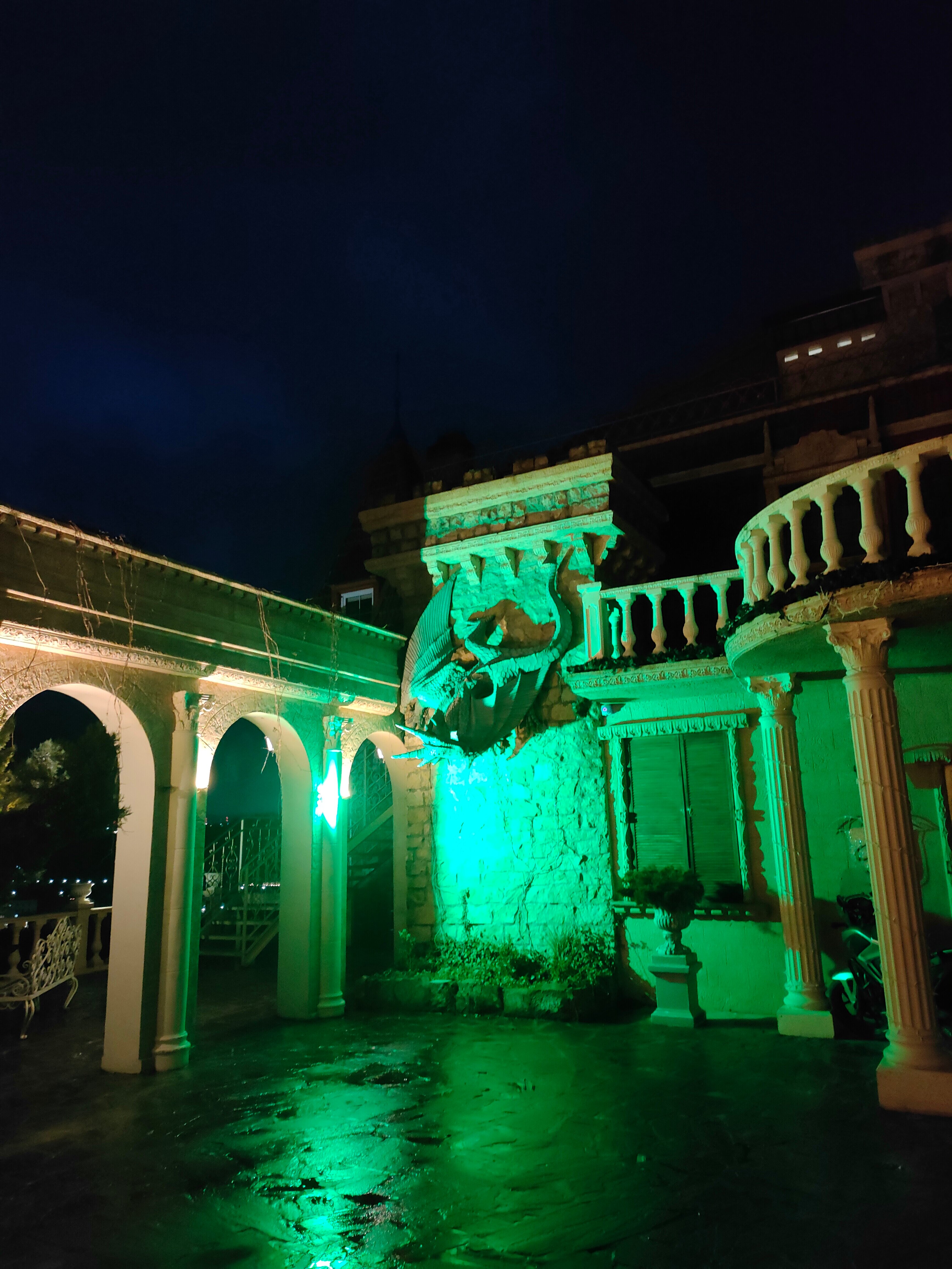 Фото Крылья