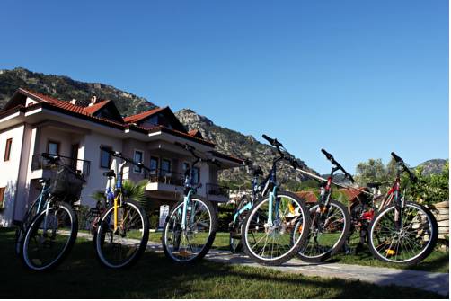 Фото Gocek Arion