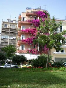 Гостиница Metropolis Hotel