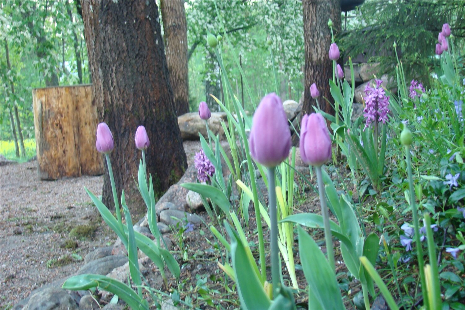 Фото Коттедж Рябиновка