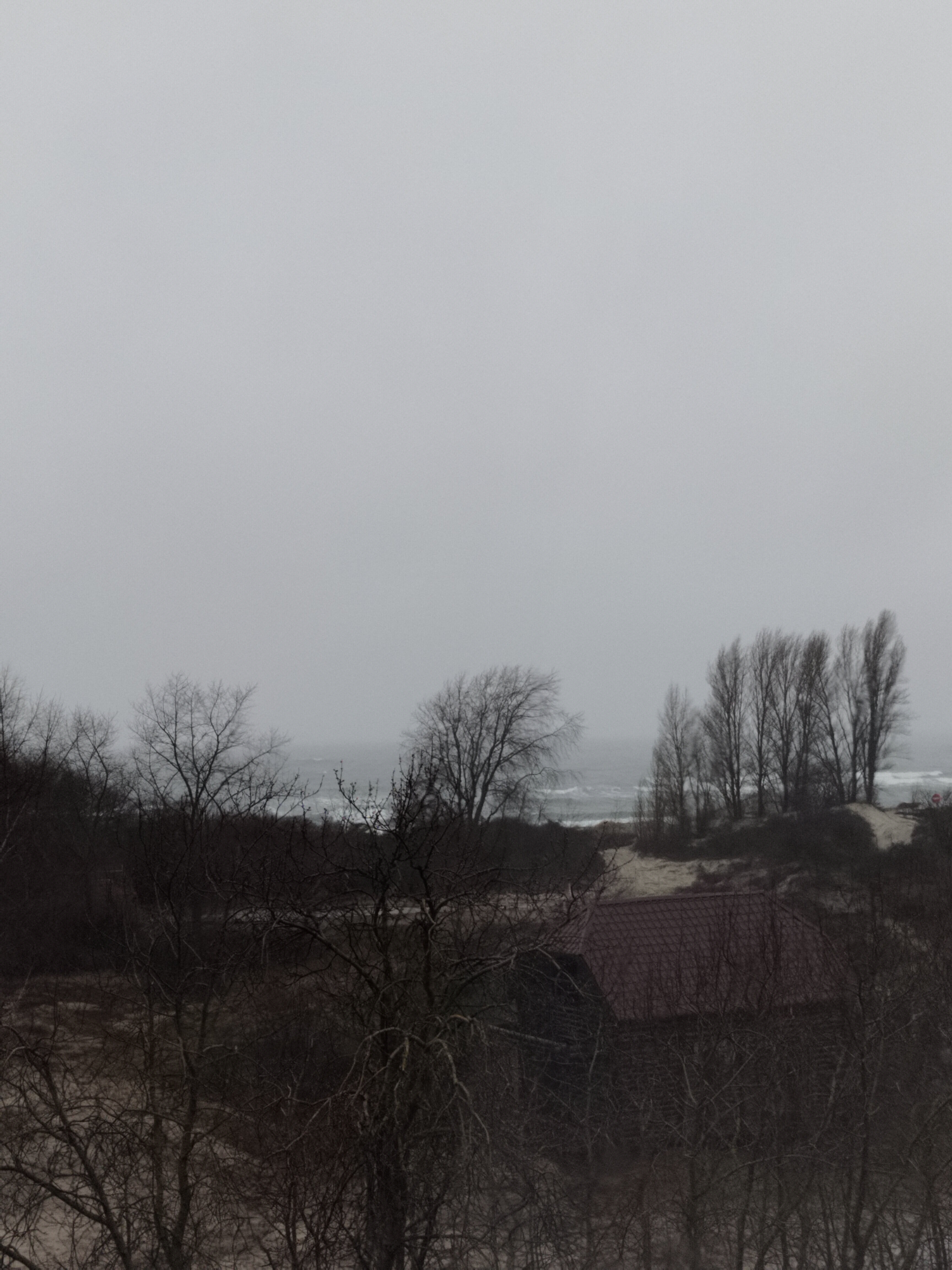 Фото Апартаменты у моря