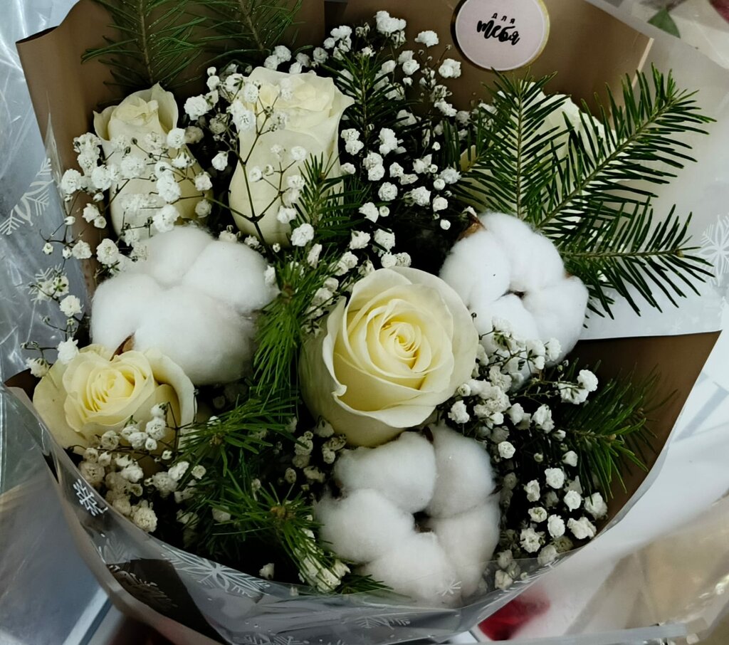 Наталья Дмитриевна