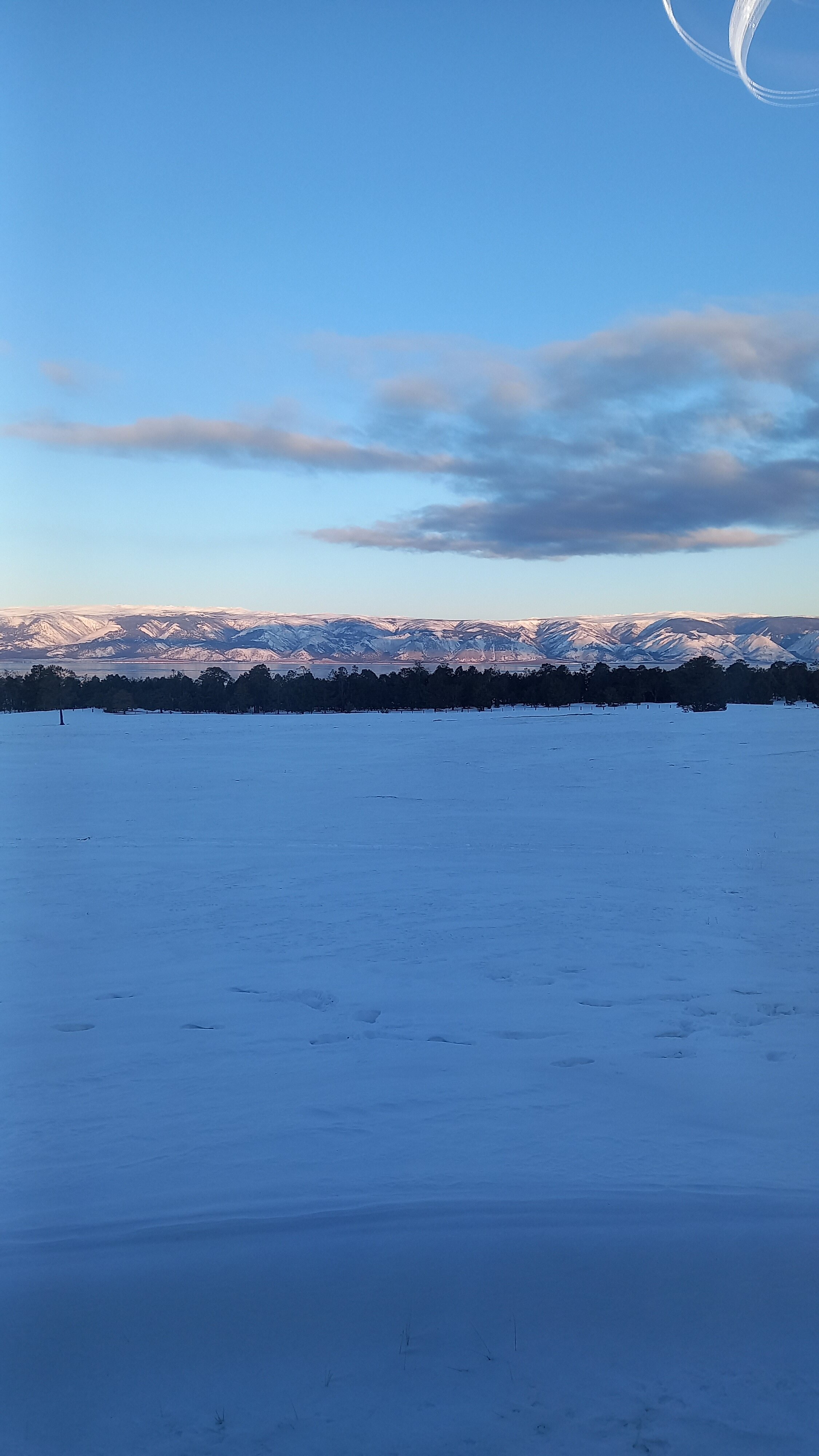 Фото Ольхон шоколад