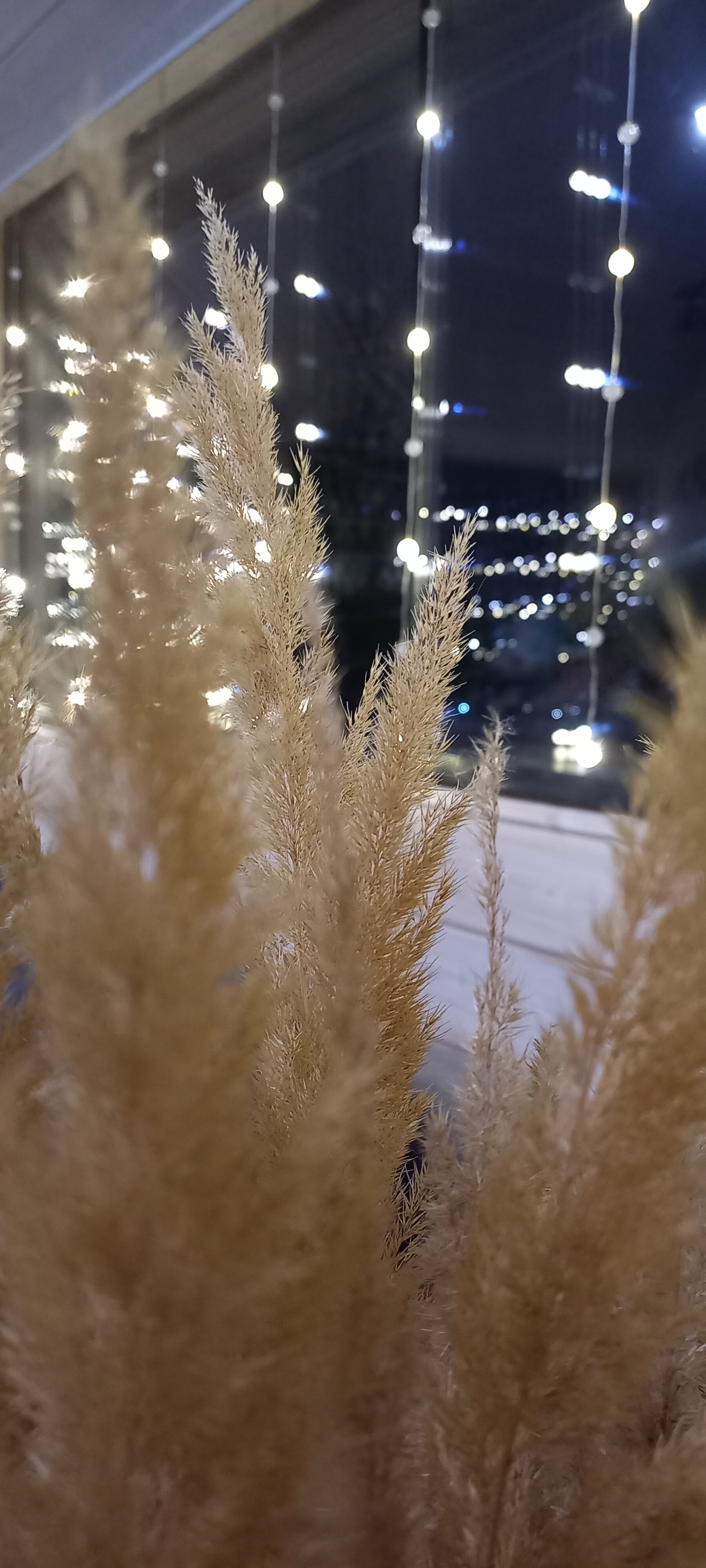 Фото Дом на высоте