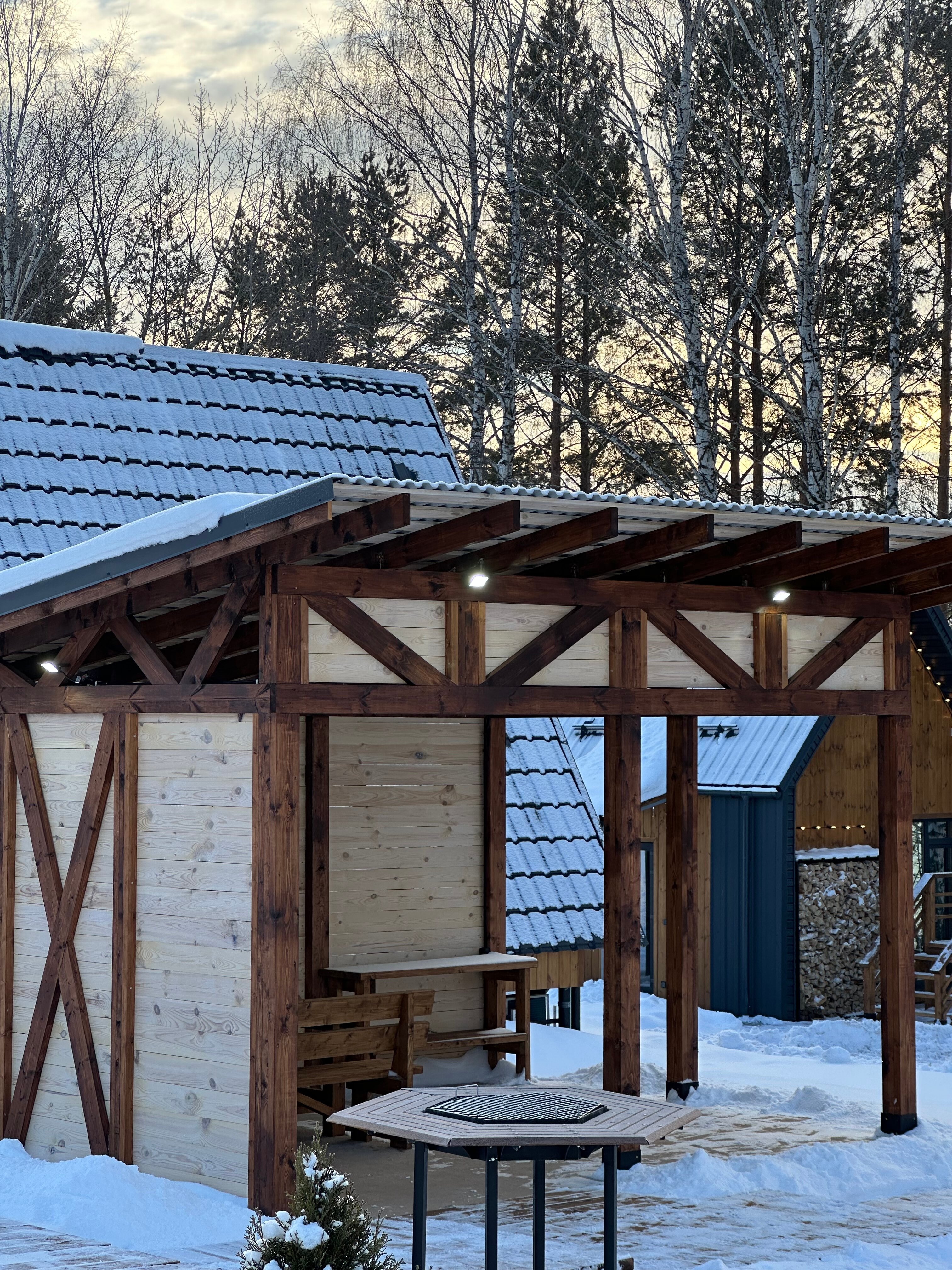 Фото Караси