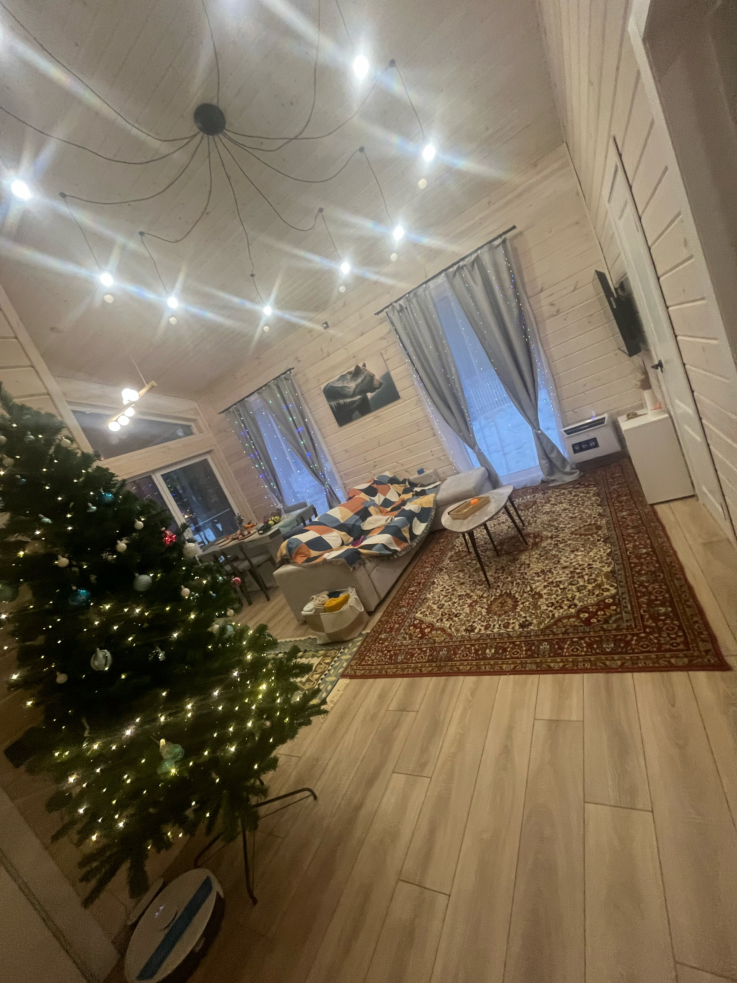 Фото У леса