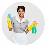 Amazing Maids Cleaning Services (Zayed The First Street, 614), cleaning services