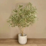 Mr Plant Of Sweden (Al Jazeerah Industrial 1, Sector 6, Ras Al Khaimah), artificial plants and flowers