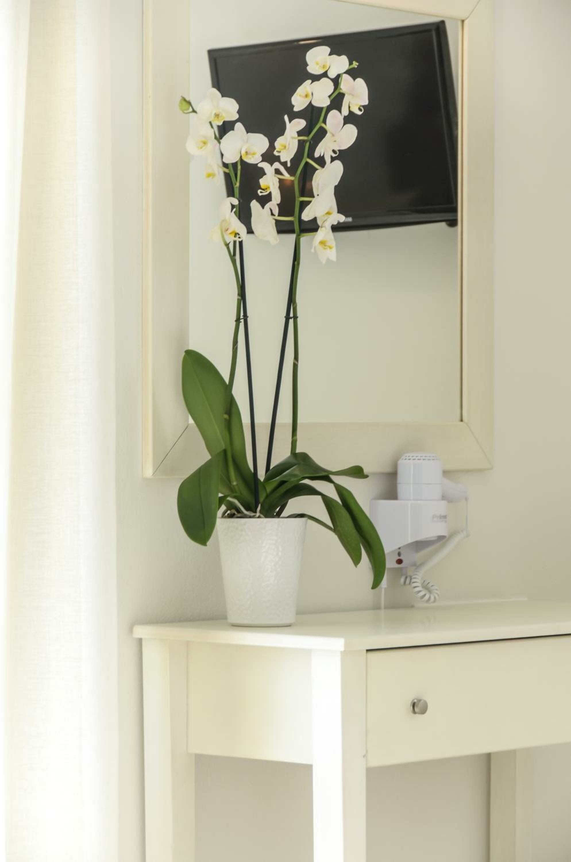 Фото Perla Hotel