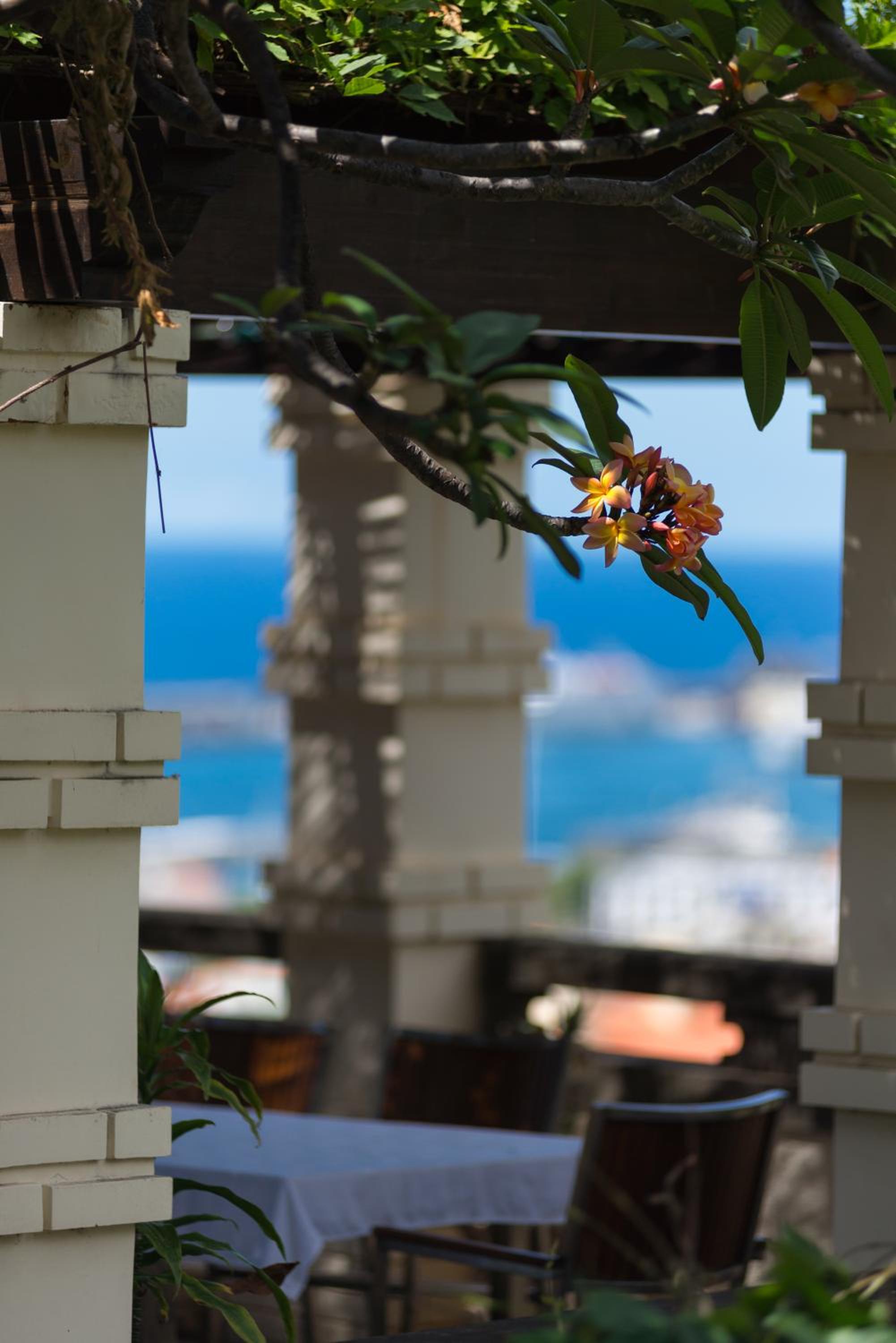 Фото Arts In Hotel Conde Carvalhal