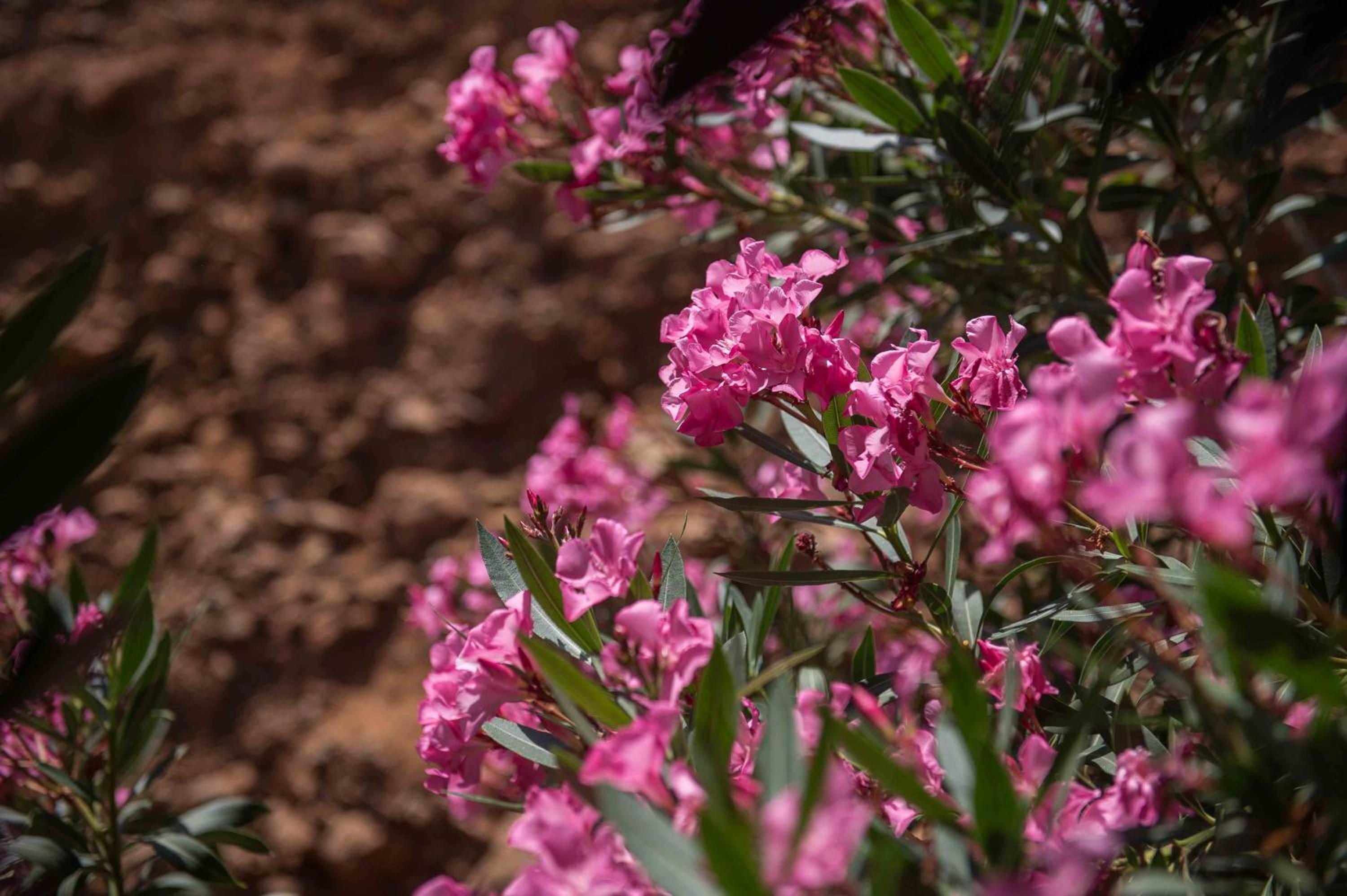 Фото Balos Beach Hotel