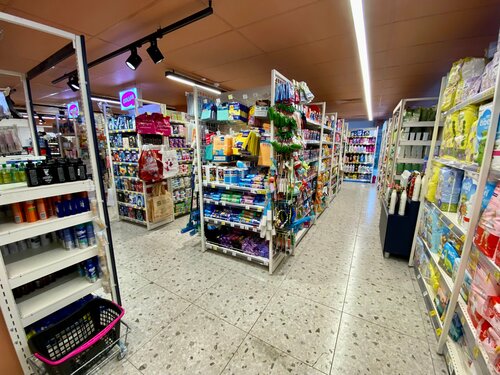 Орыс аналарымен анальный порно көру