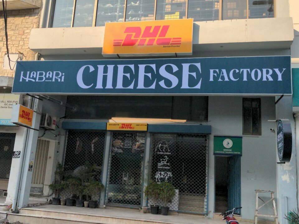 Courier services DHL, Lahore, photo