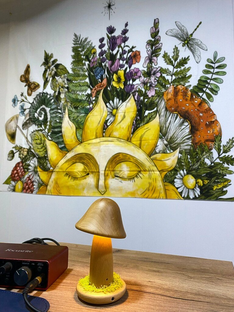 Recording studio Ufo Stu, Perm, photo