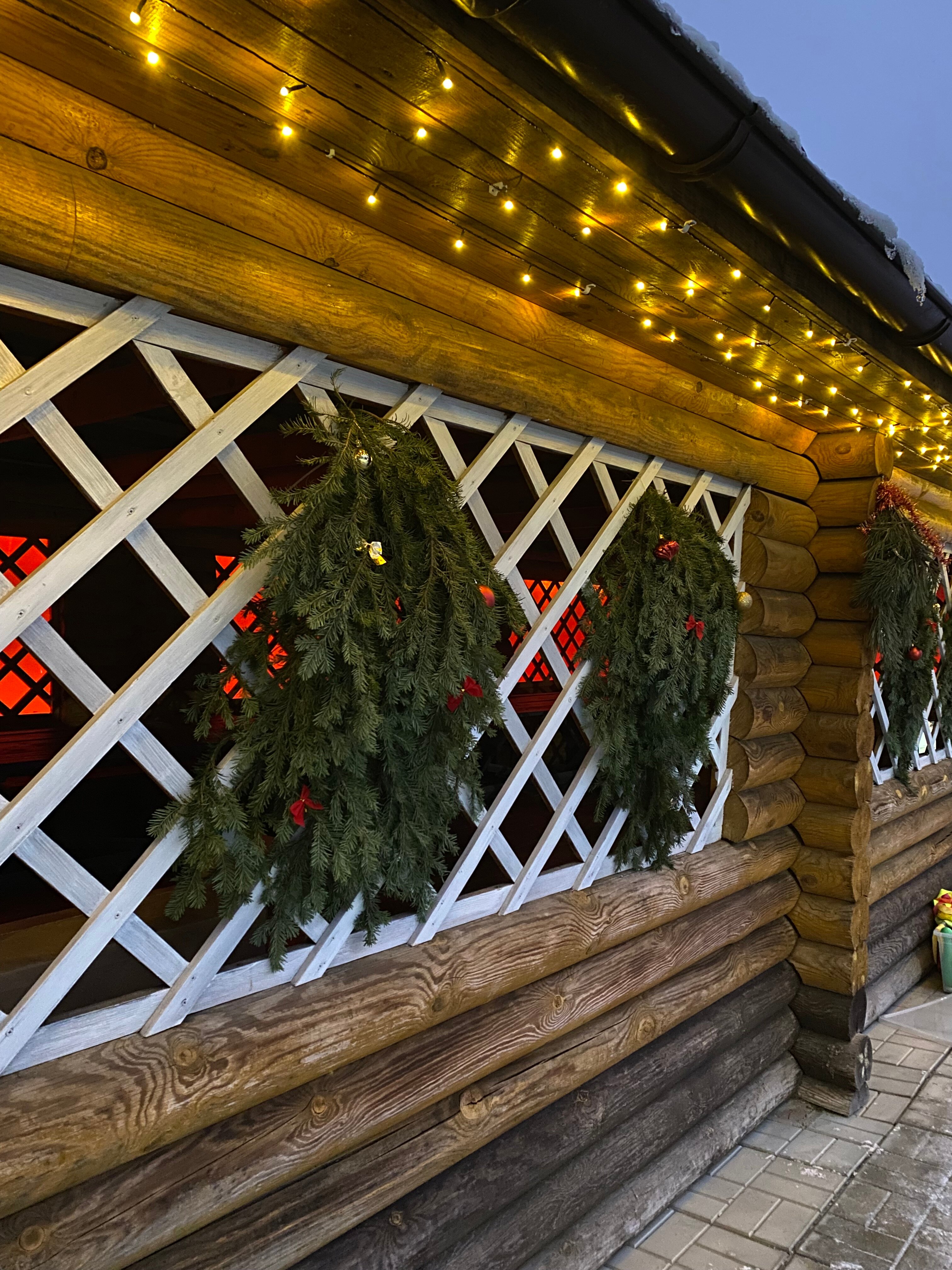 Фото Золотой фазан