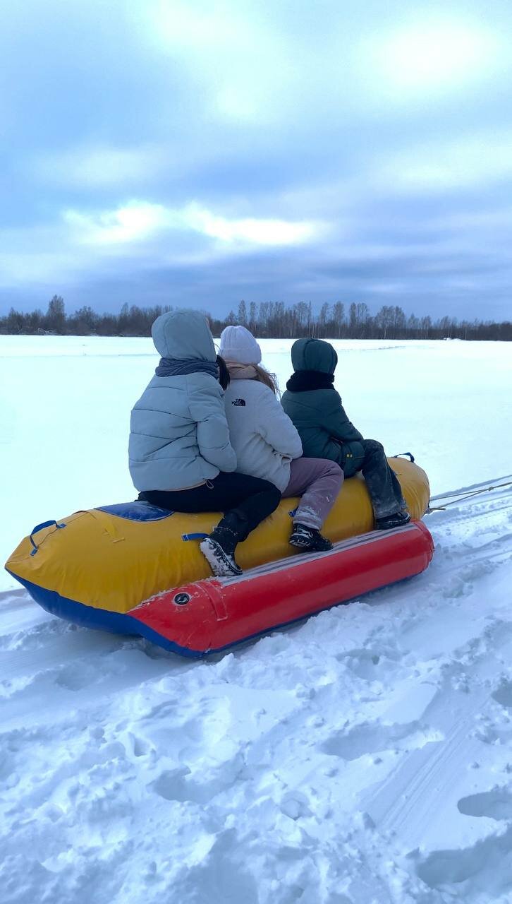 Фото Золотой фазан