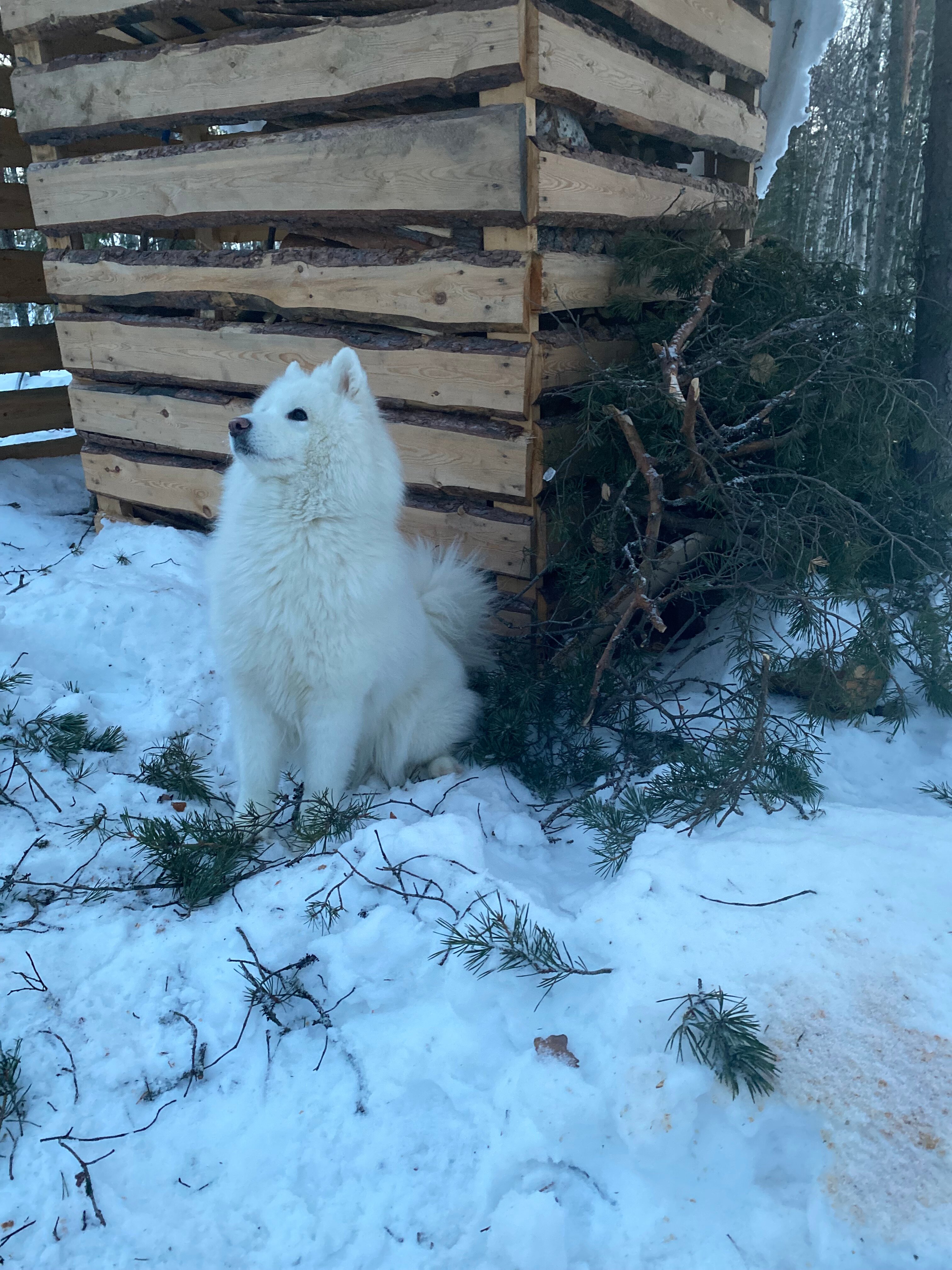 Фото Точка Притяжения