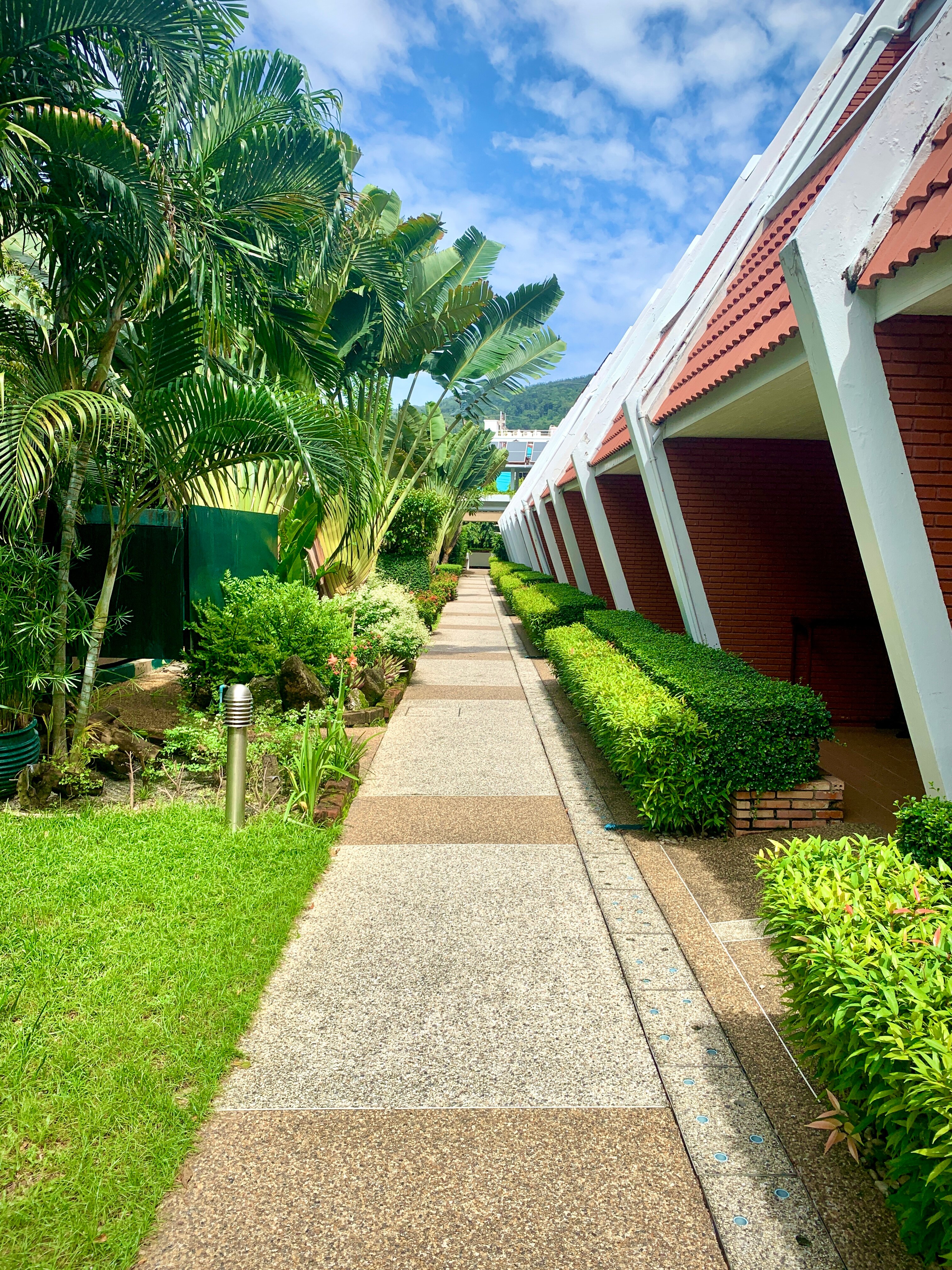 Фото Patong Resort