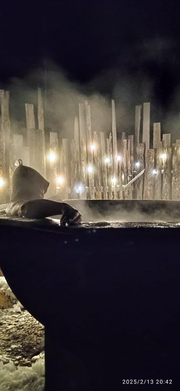 Фото Скандинавия