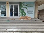 Erma Artificial Plants (Istanbul, Sancaktepe, Meclis Neighborhood, Kongre Avenue, 19A) ، متجر مستلزمات البستنة