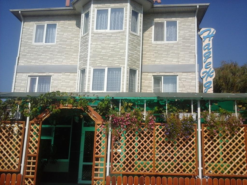 Фото Надежда