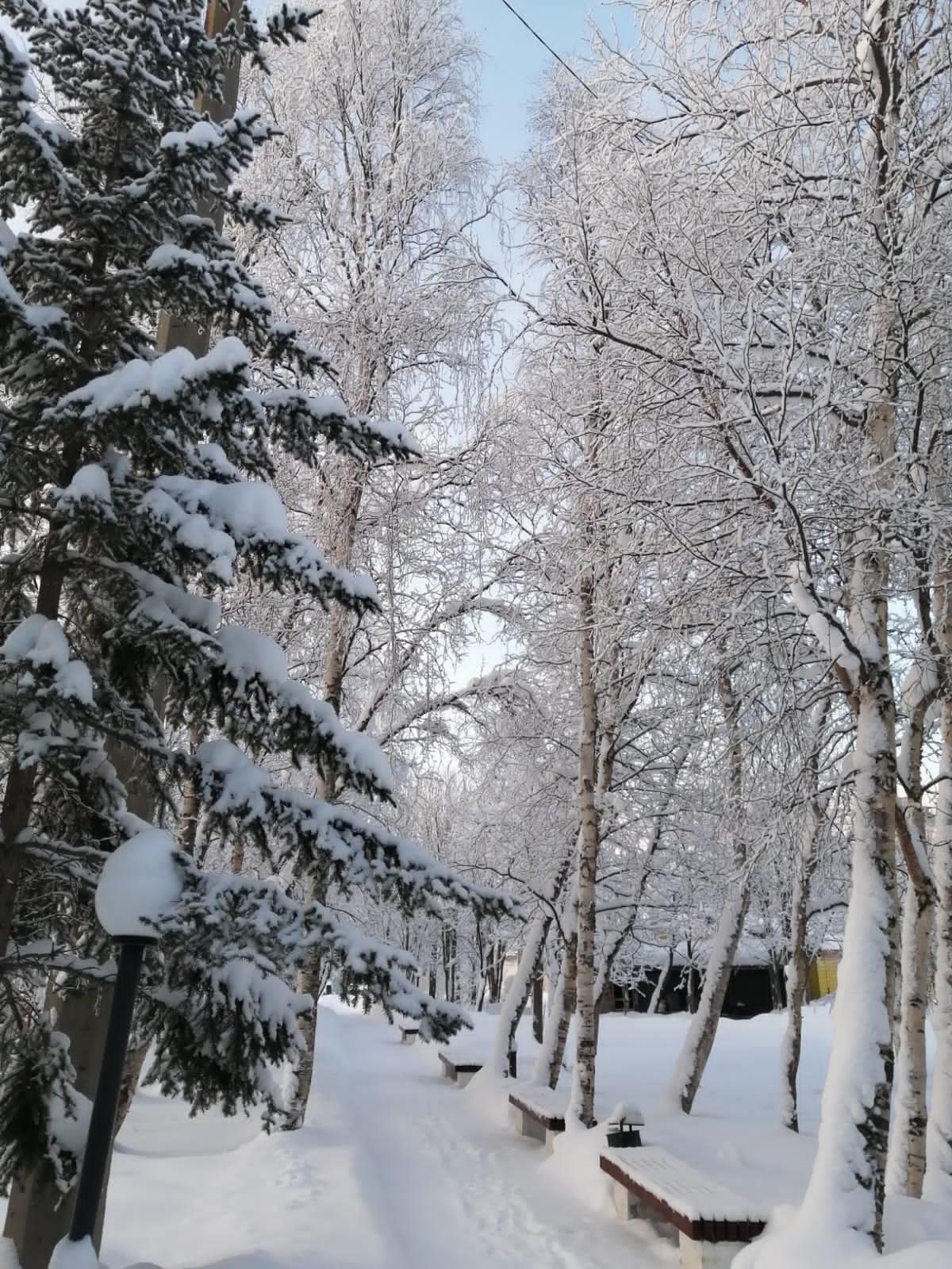 Фото Лапландия