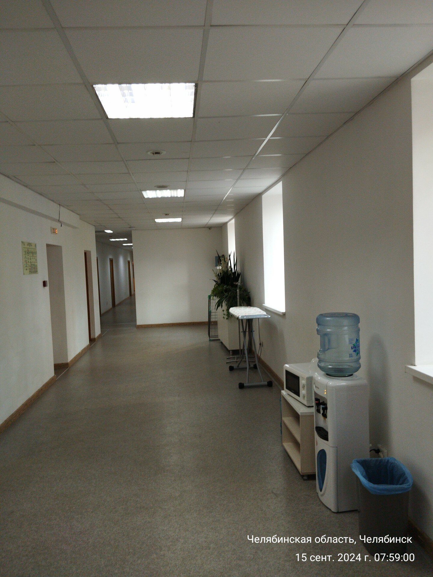 Фото Солнечная